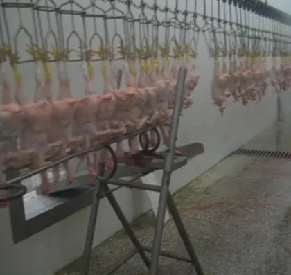 Slaughterhouse Chicken Head Cutter