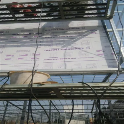 clear polycarbonate plastic glass sheet