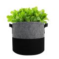 Gartenkartoffelfilzgefühle Pflanze Wachsen Beutel