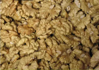 walnut kernels for sale