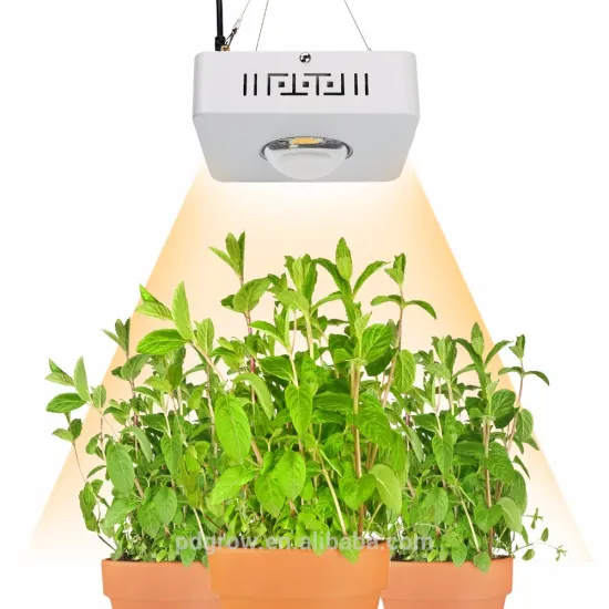 Wholesale Greenhouse Equipment Cob Led CXB3590 Single Led Grow Light, Led Light Fixtures