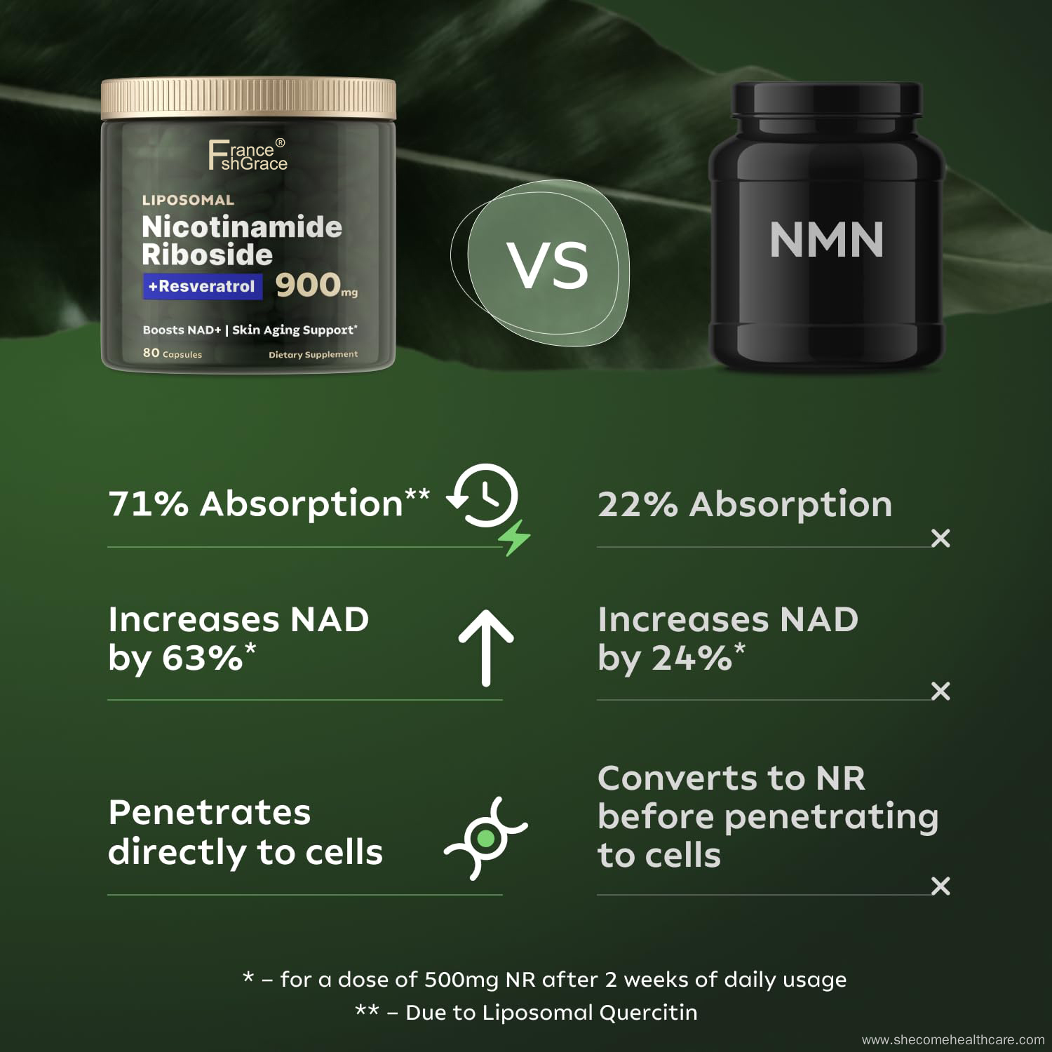 NMN capsules with Nicotinamide Energy Focus NMN Supplement