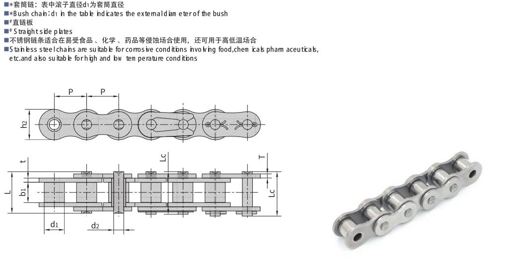 Stainless steel roller chain (4)