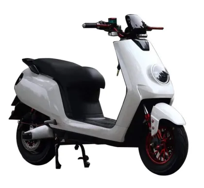 Next generation sequel Long range powerful electric scooter