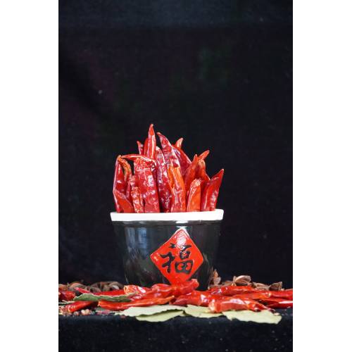 Chili King Baharatı