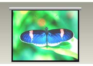180'' Motorized projection Screen