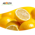 Φυσικά κίτρινα φρέσκα φρούτα λεμονιού προς πώληση