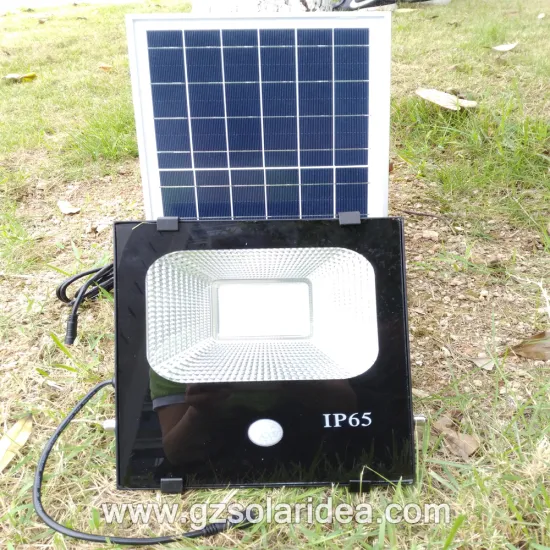 30W IP65 Portable Motion Sensor Flood Light