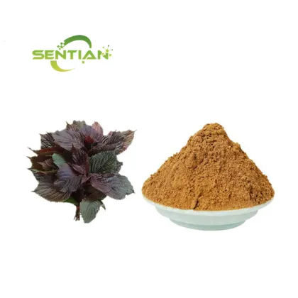 Perilla leaf Extract powder Sale