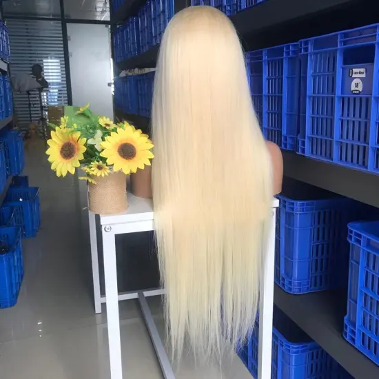 613 Lace Front Wig,613 Hd Lace Frontal Wig,Blonde 613 Full Lace Wig Human Hair