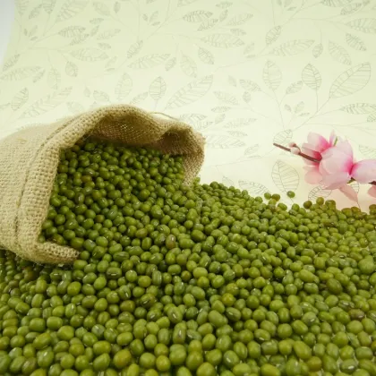 Organic Dried Green Mung Beans