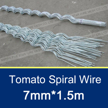 7mm Galvanized Tomato Spiral Wire 1.5m