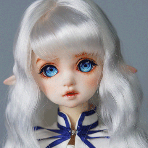 Yosd bjd 2025