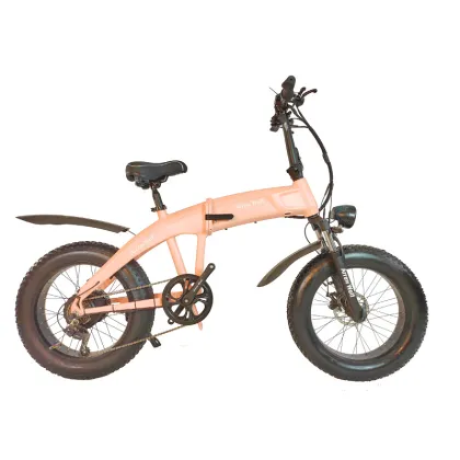 Dual motor snow electric bike