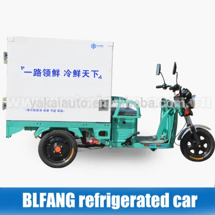 electrical reefer piaggio ape/ tuk-tuk/ tricycle for vegetable transportation
