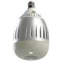 LEDER High Power Light Bulbs