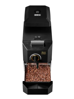 Small Home Electric Coffee Bean Roaster