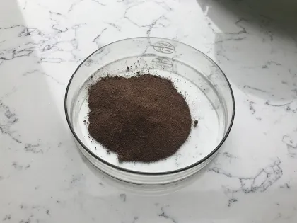 Pure Bee Propolis Extract Powder