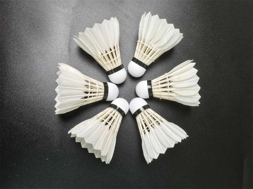 Factory Wholesale OEM Level5 Goose Feather Badminton