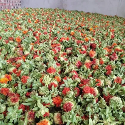 Wholesale Red Safflower Petals and Herbal Tea