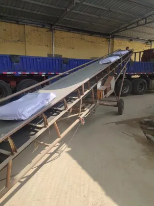 Animal Feed Probiotics 20 Billion CFU/g Live