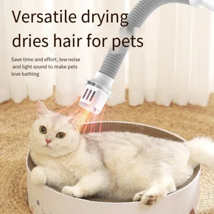 Multifunctional Household Appliances: Wholesale Shoe Drying Gloves, Warm Quilt Blowing, Pet Mite Removal, and Clothes Dryer