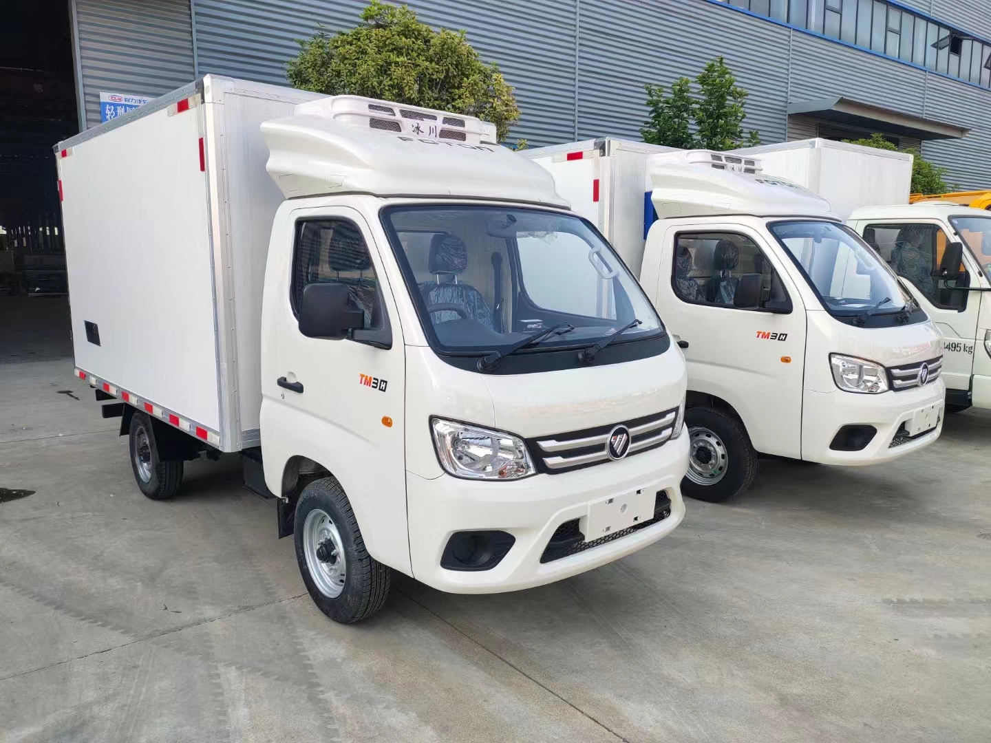 Foton 12V Car Freezer Cargo Van