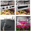 Dimmable 600W CXB 3590 COB Plant Grow Light