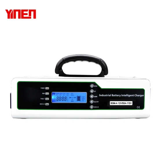 Smart 48V 25A 1200W EV Car Battery Charger with WiFi Module