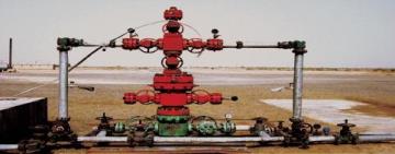 Electric Submersible Progressive Cavity Pump
