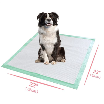 Pad de chiot anti-fuite super absorbant