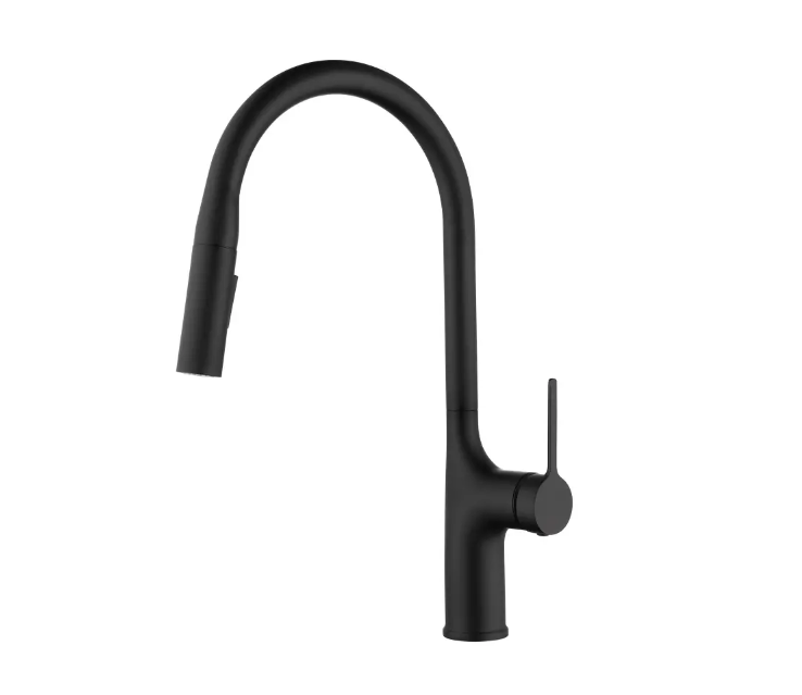 Pull Out Kitchen Faucets with Advanced Technology Elevate Kitchen Convenience