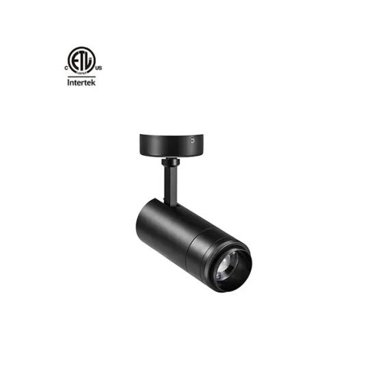 Ra90 AC120-277V Adjustable Spotlight for Commercial Use