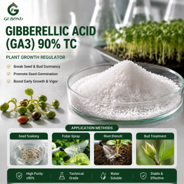 Axit Gibberellic GA3 90% TC Chất điều hòa sinh trưởng thực vật