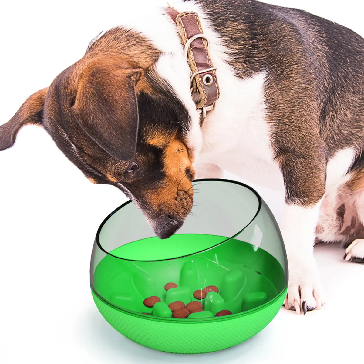 แคปซูลกระดิกชามสุนัข Capsule Wiggle Dog Bowl
