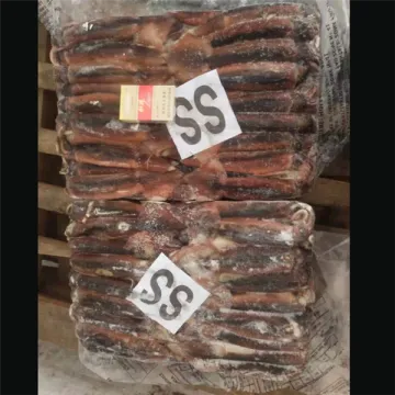 100-200 Illex Argentinus Whole Round Squid Frozen Squid