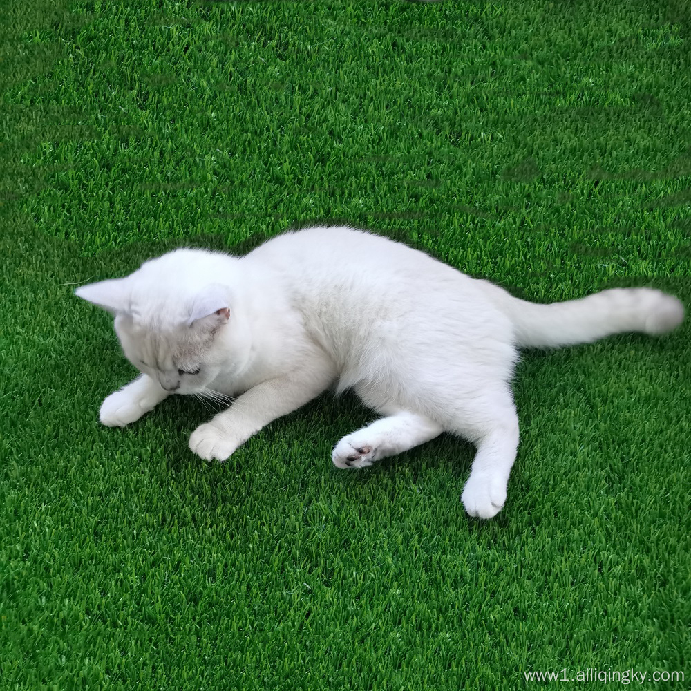 Turf For Backyard With Dogs Cats