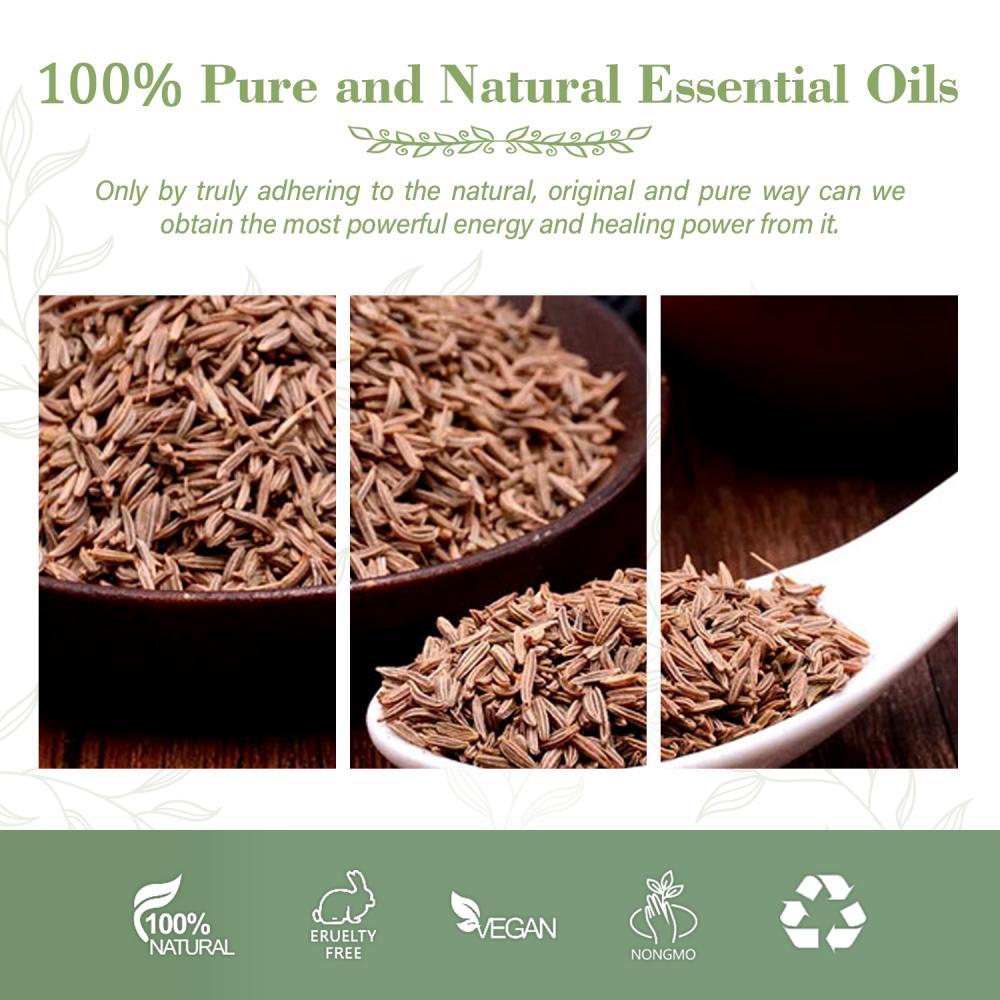 Wholesale Supply 100% Natural and Pure Best Quality Caraway Essential Oil at Good Price