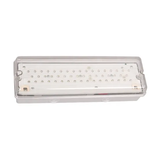 Chinese Non-Maintained Water-Proof Emergency Exit Light