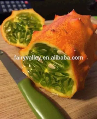 Kewana seeds Jelly Melon Seeds The horned Melon For Growing