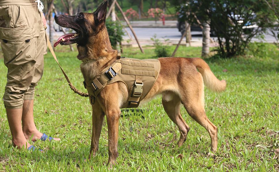 Tactical Dog Harness Custom Tactical Dog Harness Factory