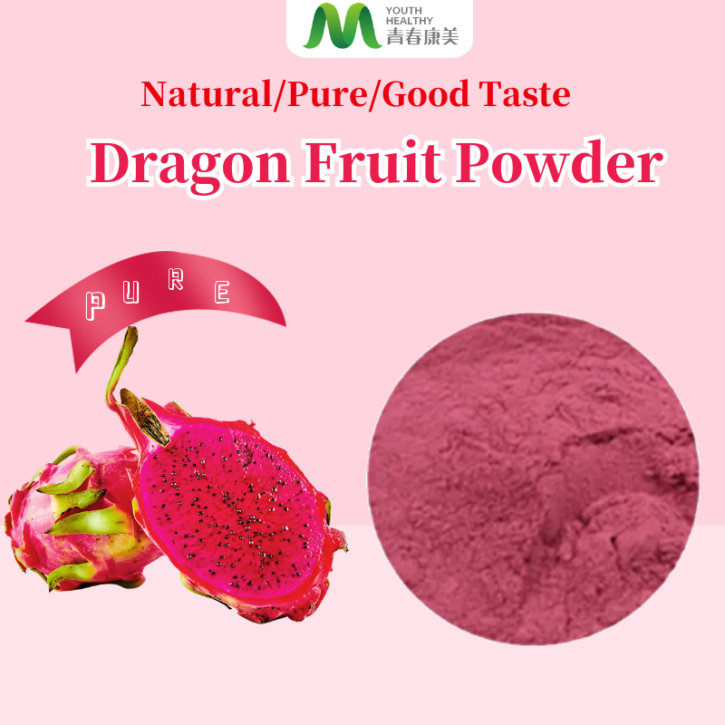 Best Bulk Dragon Fruit Freeze Dried Powder