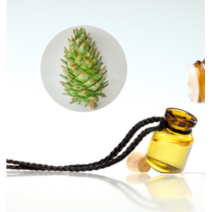 Pine cone or palta essential oil daily chemical