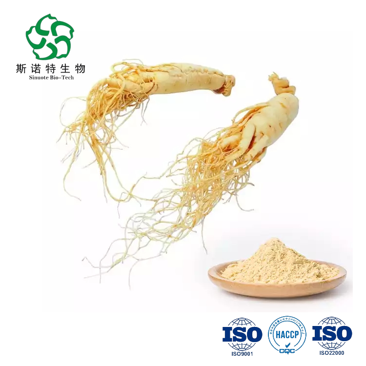 80% ginseng -saponiinijauhe ginseng -juurijauhetta