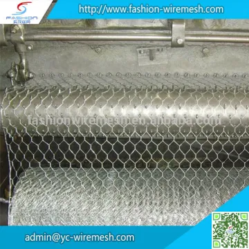 Hot Dipped Galvanized fish trap hexagonal wire mesh