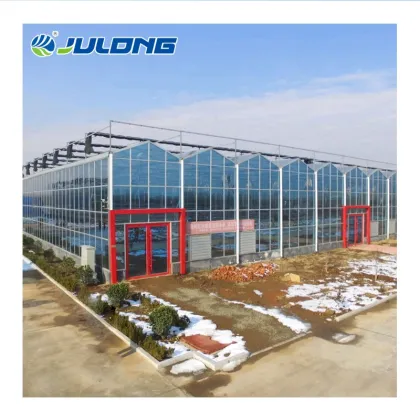 agriculture glass greenhouse tomato hydroponics smart farms