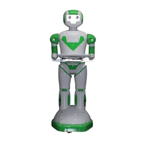 Waiter Cafe Robot Artificial Intelligence For Sale