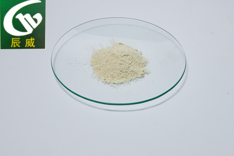 Feed Additive Typ Soja -Lecithin -Pulver