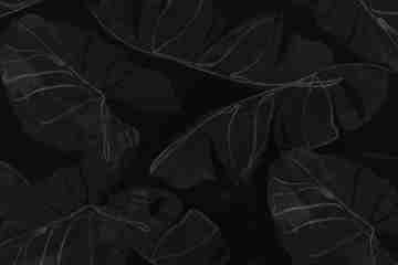Abstract Noir Butterfly Kinetic Art Decorative Film