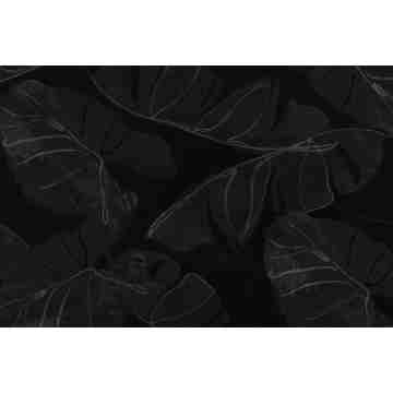 एब्सट्रैक्ट नॉयर बटरफ्लाई काइनेटिक आर्ट डेकोरेटिव फिल्म